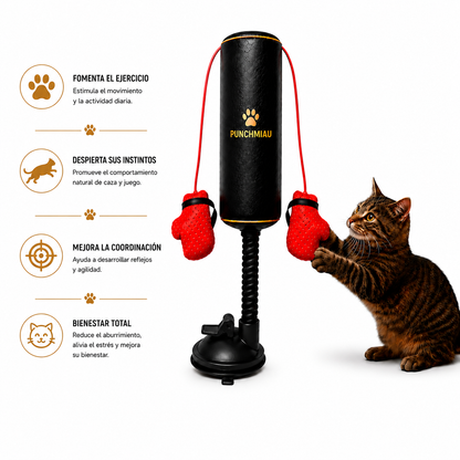 PunchMiau | Saco de boxeo para gatos