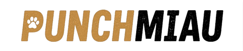 JCZ