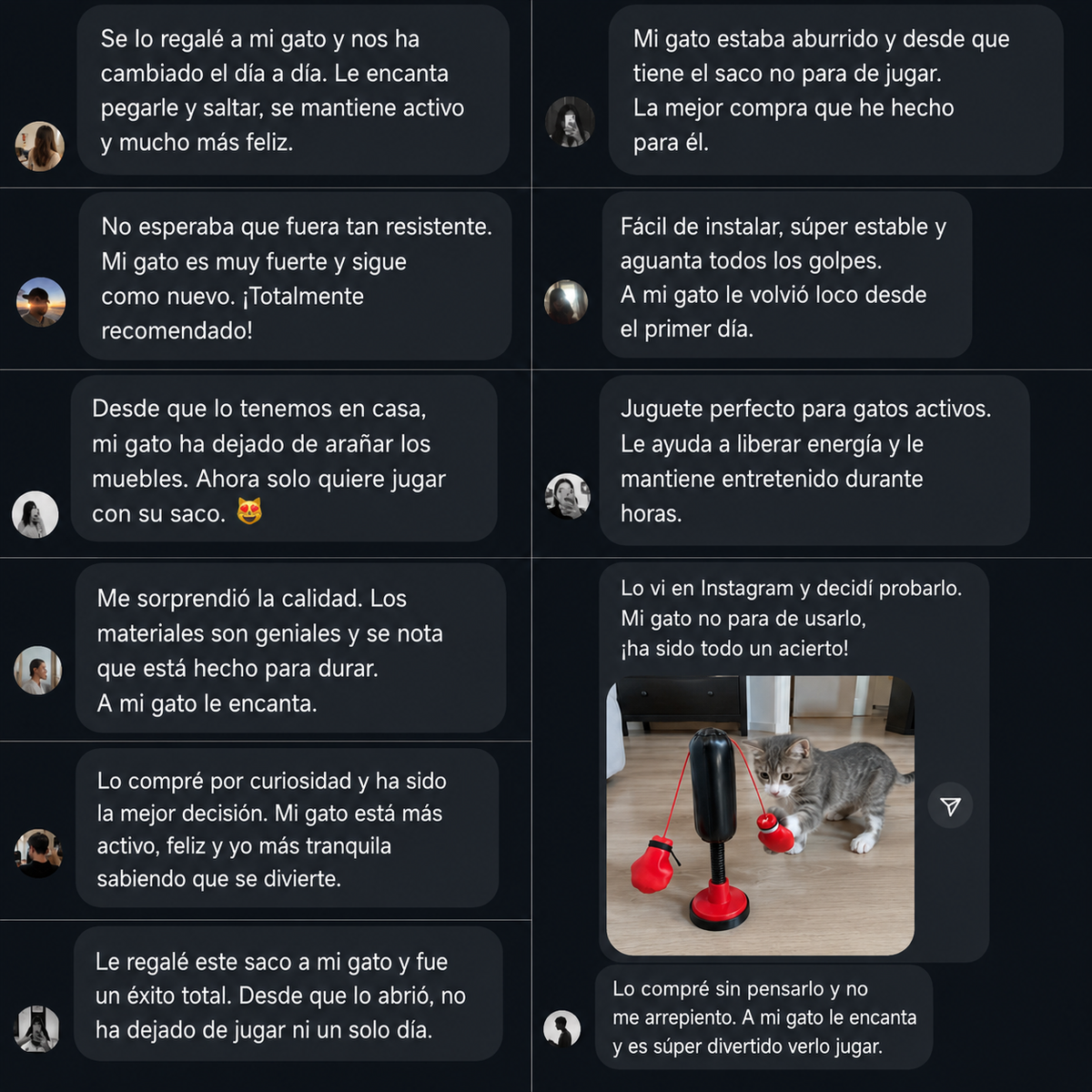 Juguete interactivo para gatos