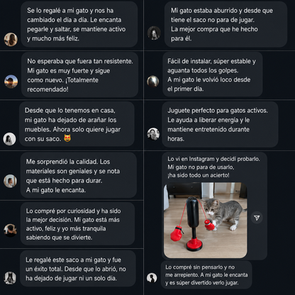 Juguete interactivo para gatos